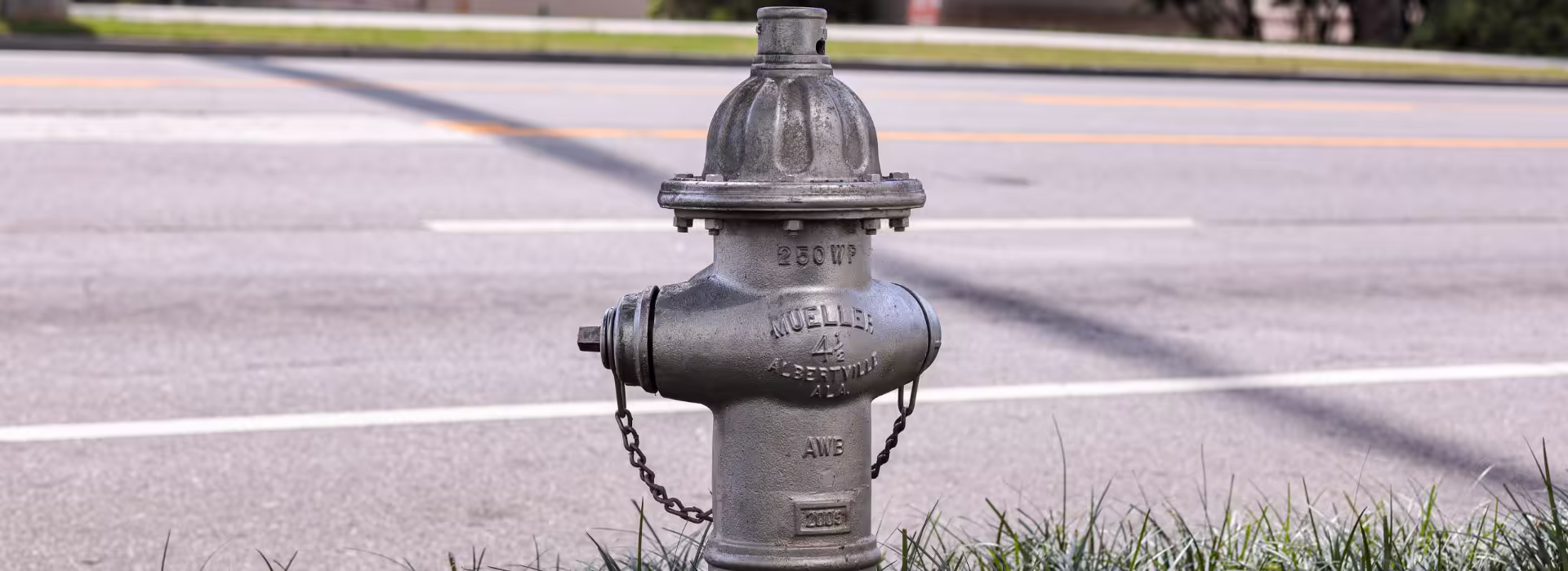Fire hydrant on a street in Albertville, Alabama